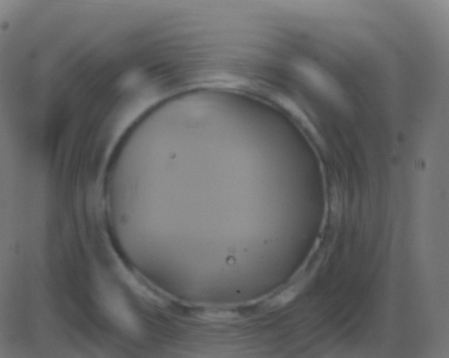 X0000086221466200704051227