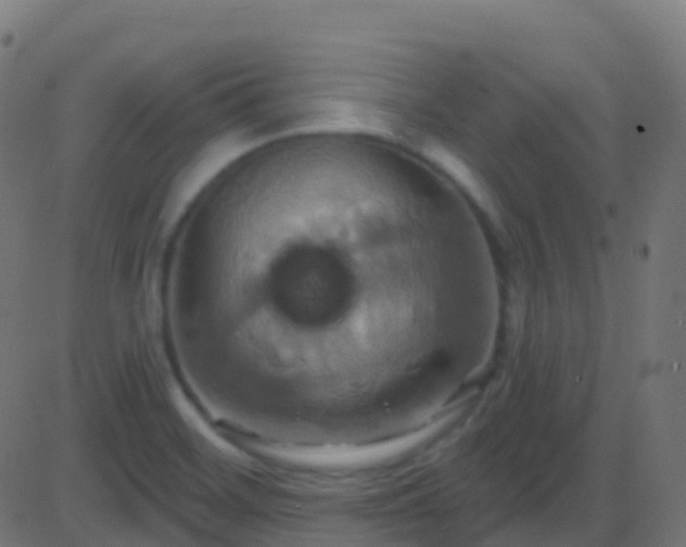 X0000086221468200704051227