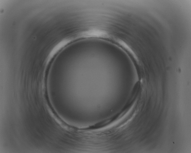 X0000086221469200704051227