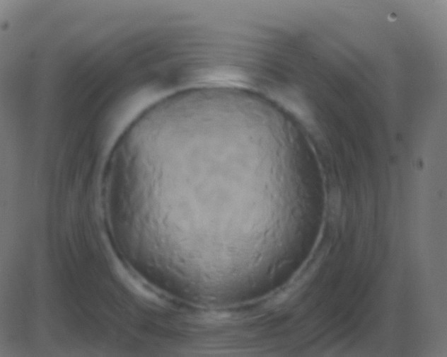 X0000086221470200704051227