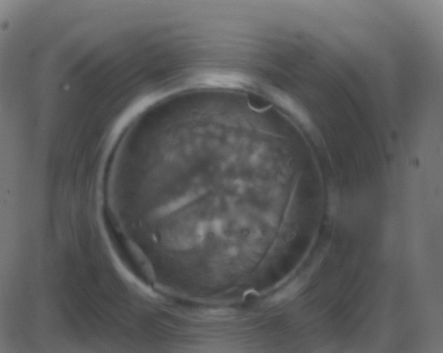 X0000086221471200704051227