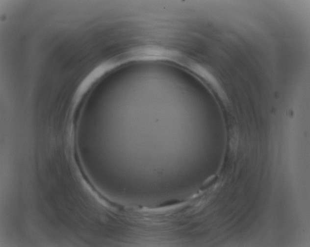 X0000086221472200704051227