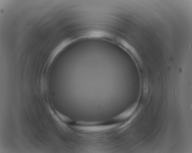 X0000086221473200704051227