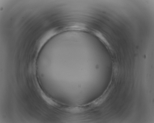 X0000086221474200704051227