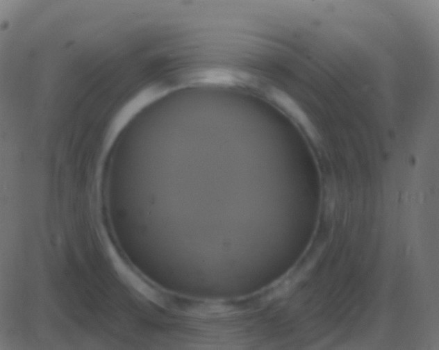 X0000086221475200704051227