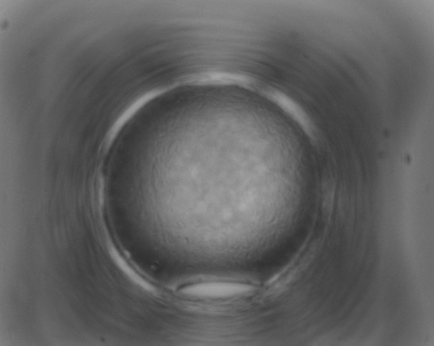 X0000086221476200704051227