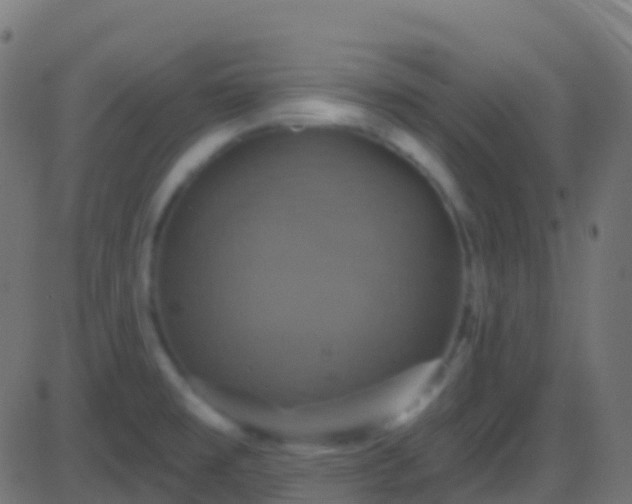 X0000086221477200704051227