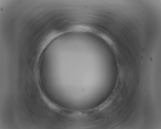 X0000086221478200704051227