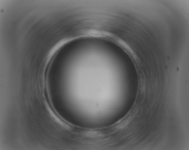 X0000086221479200704051227