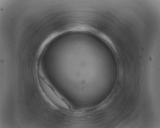 X0000086221480200704051227