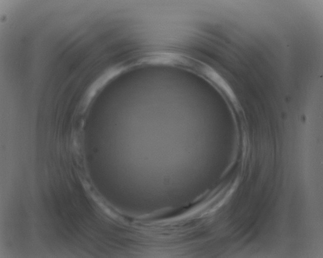 X0000086221481200704051227