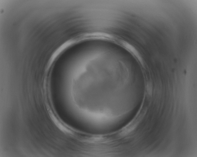 X0000086221482200704051227