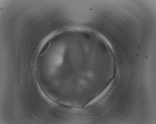 X0000086221483200704051227