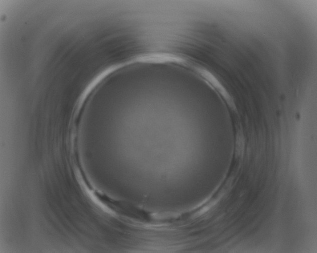 X0000086221484200704051227