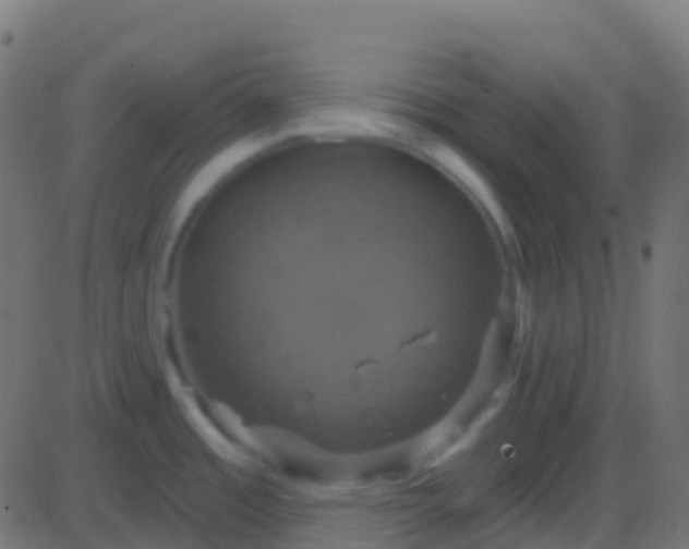 X0000086221485200704051227