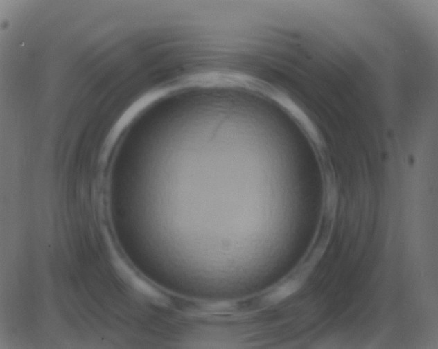 X0000086221486200704051227