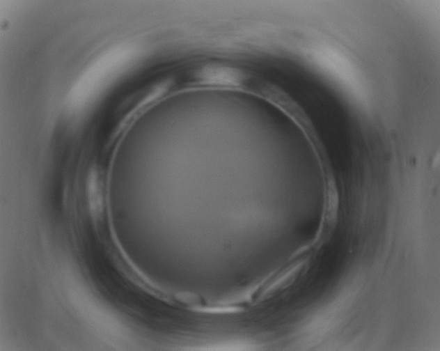 X0000086221487200704051227