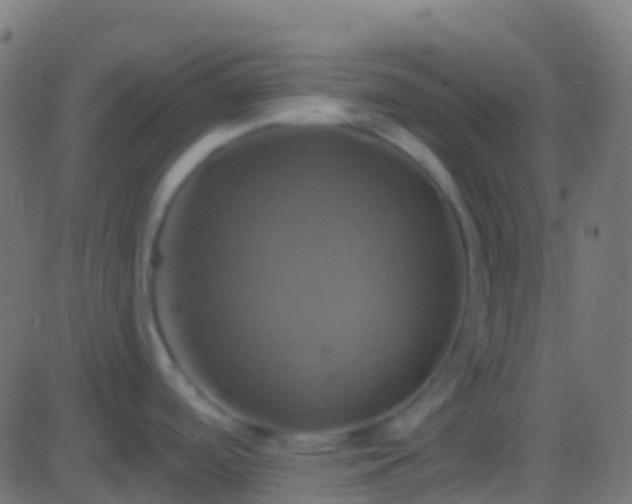 X0000086221488200704051227