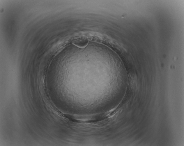 X0000086221489200704051226