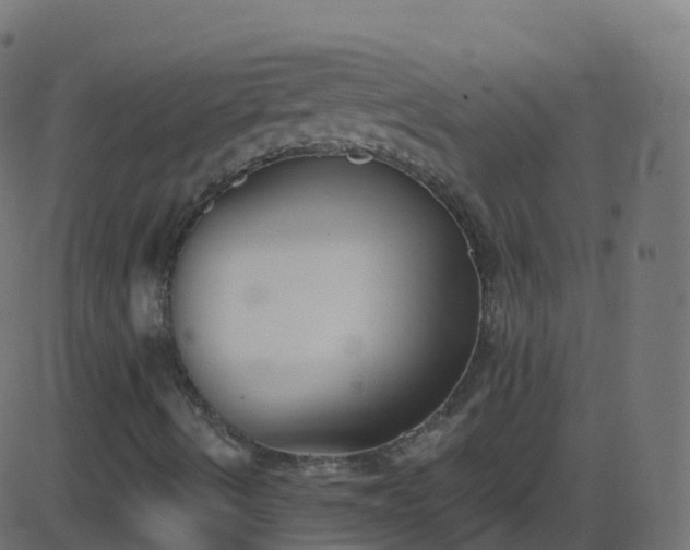 X0000086221490200704051226