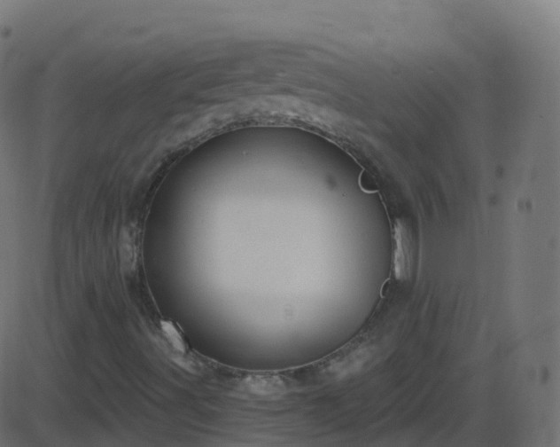 X0000086221491200704051226