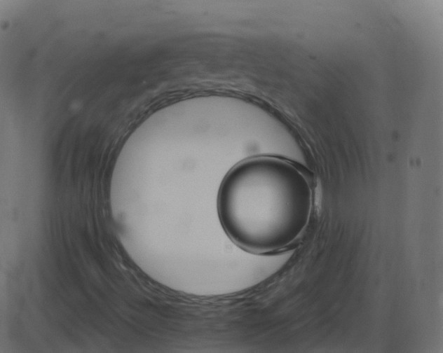 X0000086221492200704051226