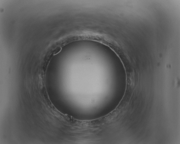 X0000086221493200704051226