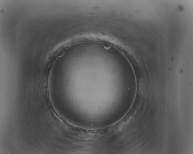 X0000086221494200704051226