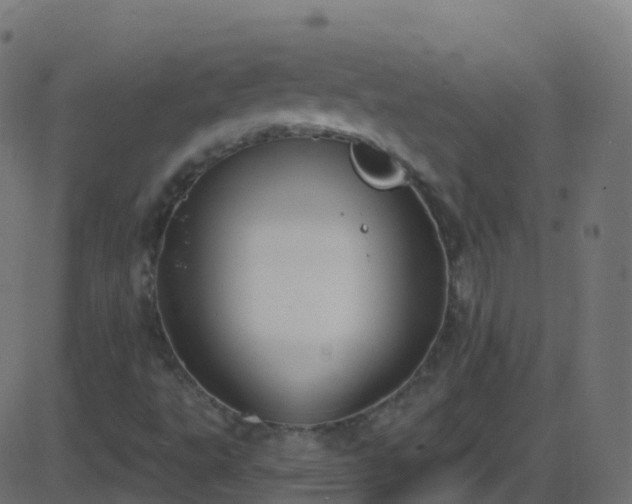 X0000086221495200704051226