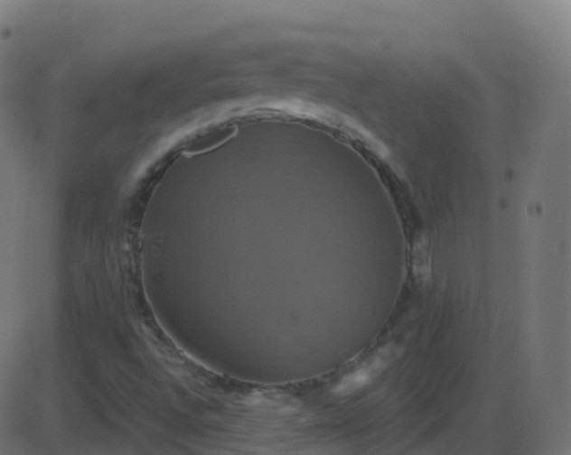 X0000086221496200704051226