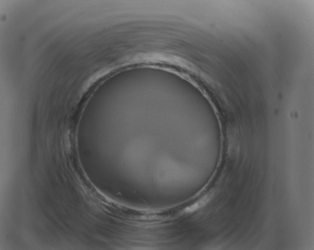 X0000086221497200704051226