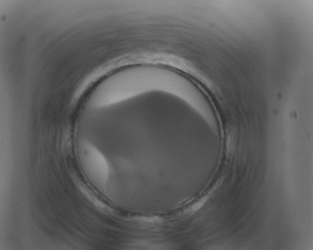 X0000086221498200704051226