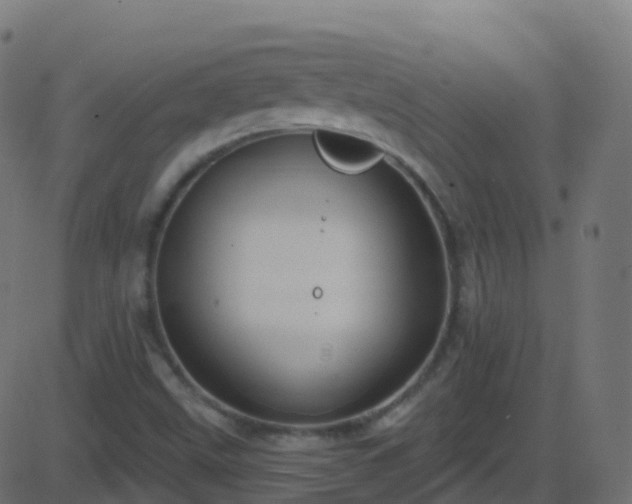 X0000086221499200704051226