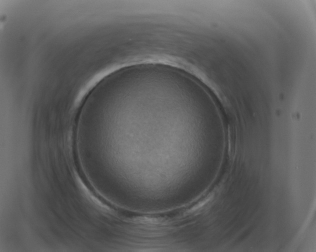 X0000086221500200704051226