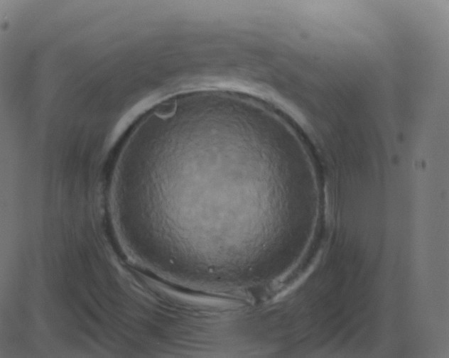 X0000086221501200704051226