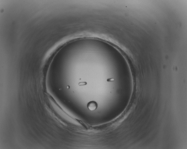 X0000086221502200704051227