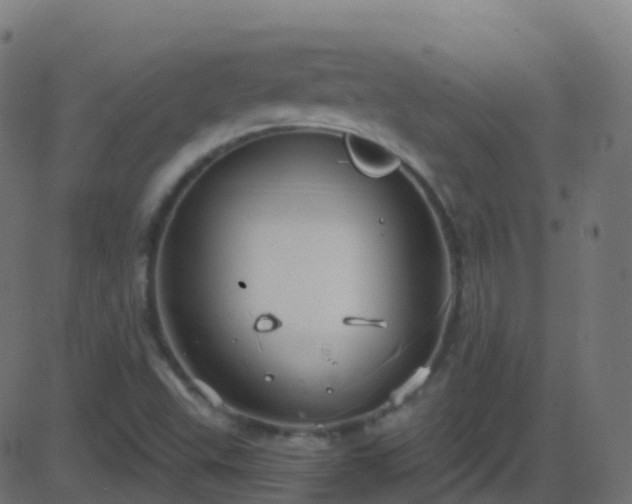 X0000086221503200704051227