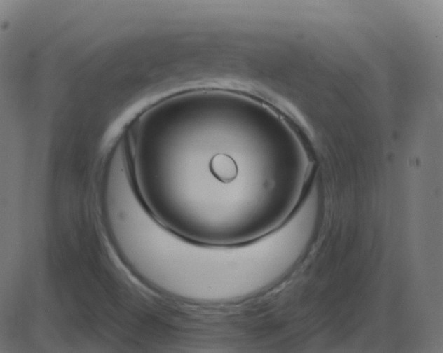 X0000086221504200704051227