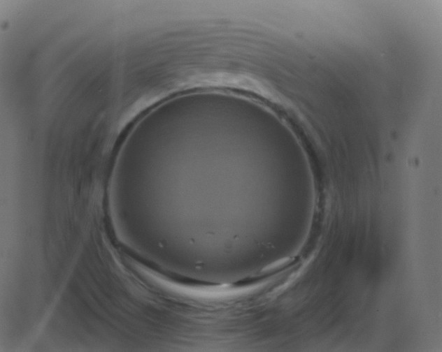 X0000086221505200704051227