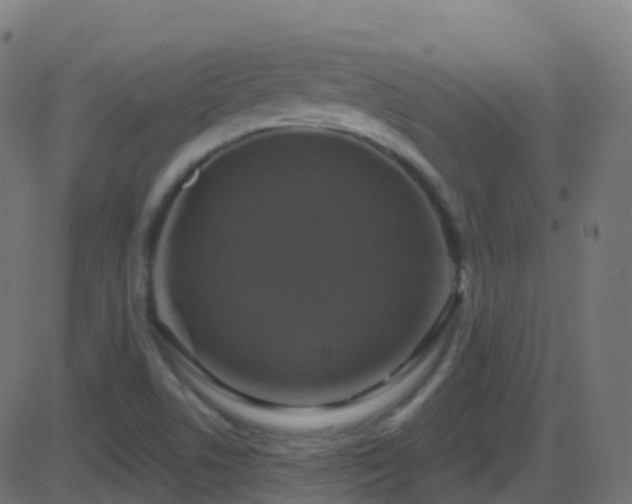 X0000086221506200704051227