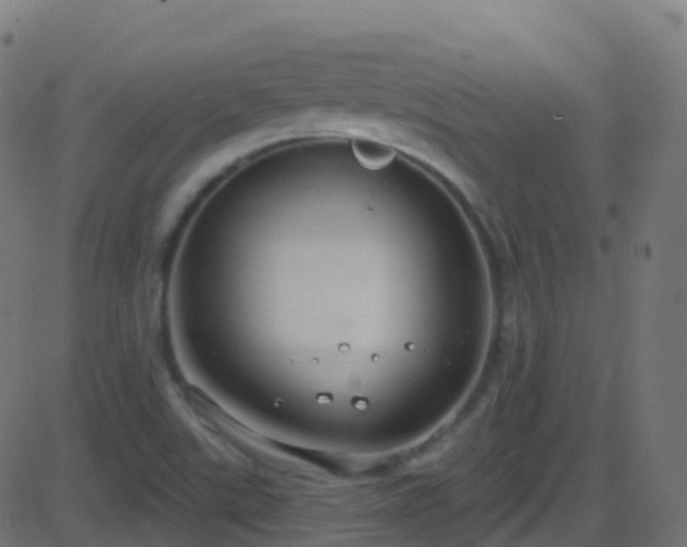 X0000086221507200704051227