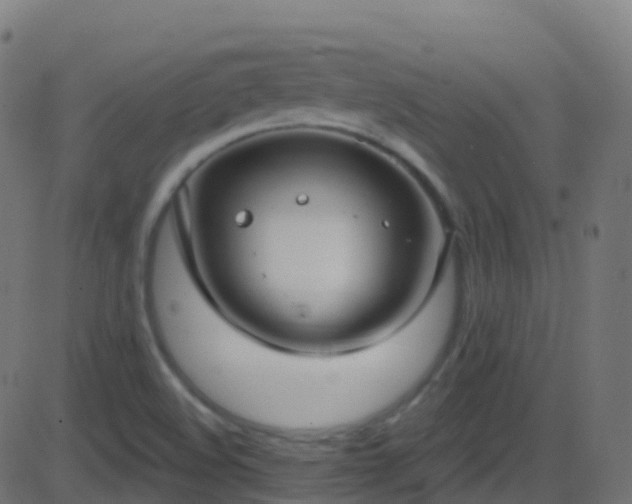 X0000086221508200704051227