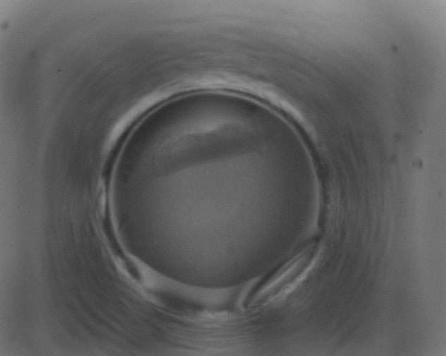 X0000086221509200704051227