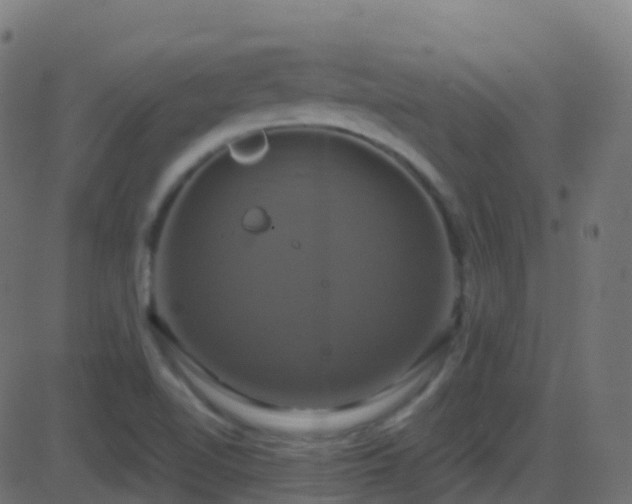 X0000086221510200704051227