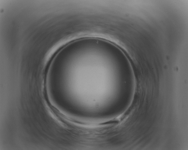 X0000086221511200704051227