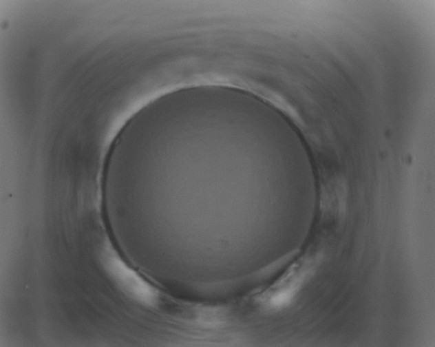 X0000086221512200704051227