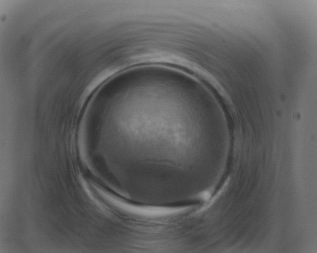 X0000086221513200704051227