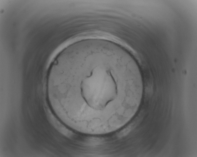 X0000086221514200704051227