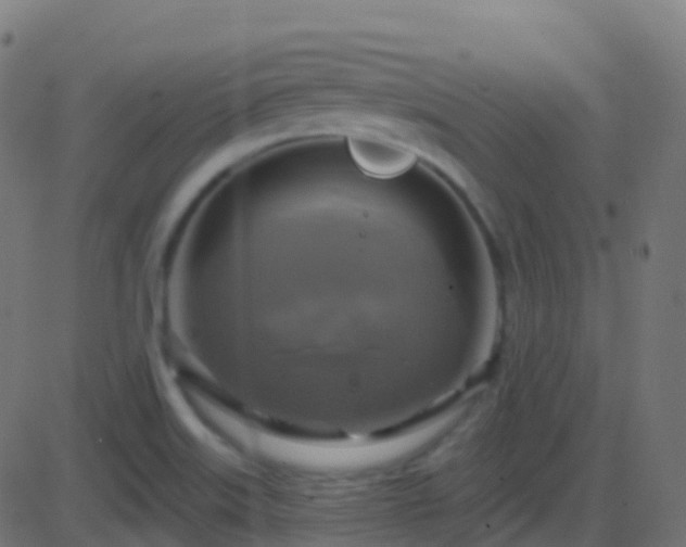 X0000086221515200704051227