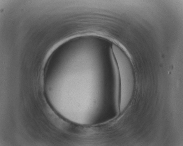 X0000086221516200704051227